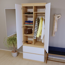 Шкаф ШС-213